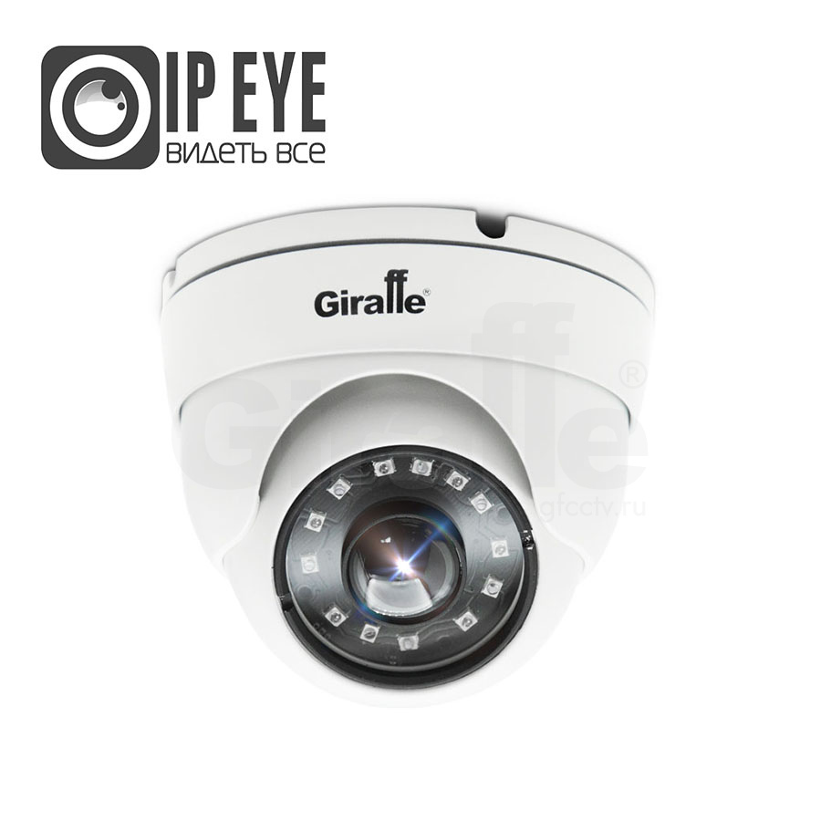 Антивандальная IP видеокамера с объективом Fisheye с сервисом IPEYE GF-IPVIR4203MP5.0