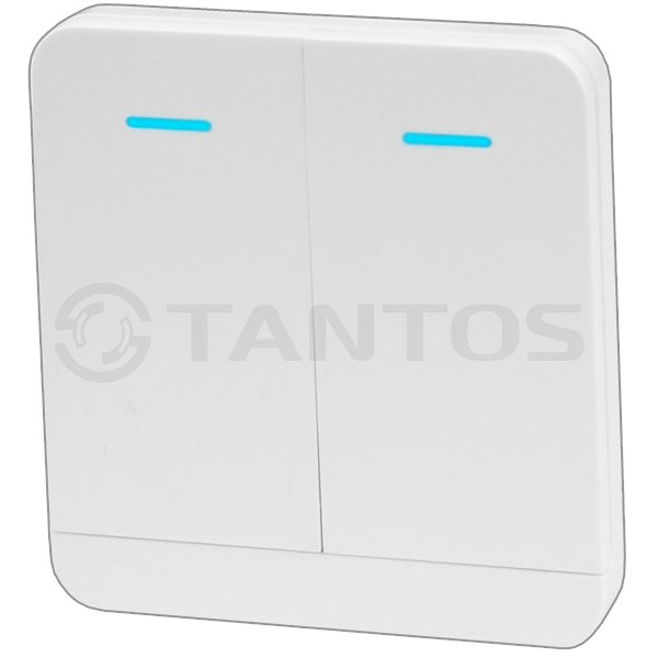 Передатчик клавишный TSt-100HK