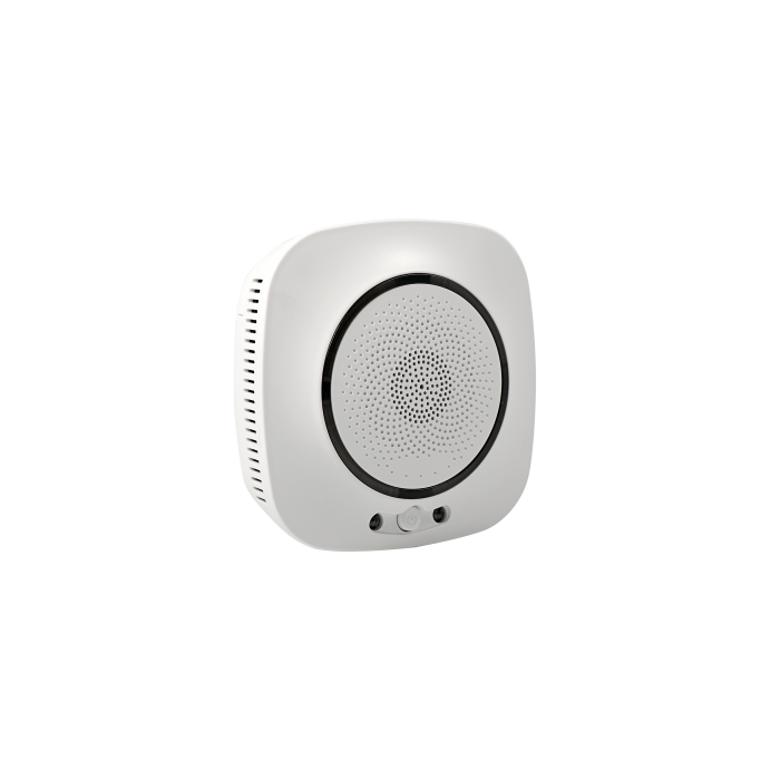 Powernet-ZGT датчик утечки газа