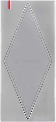 TS-CTR-EMF Metal Автономный контроллер