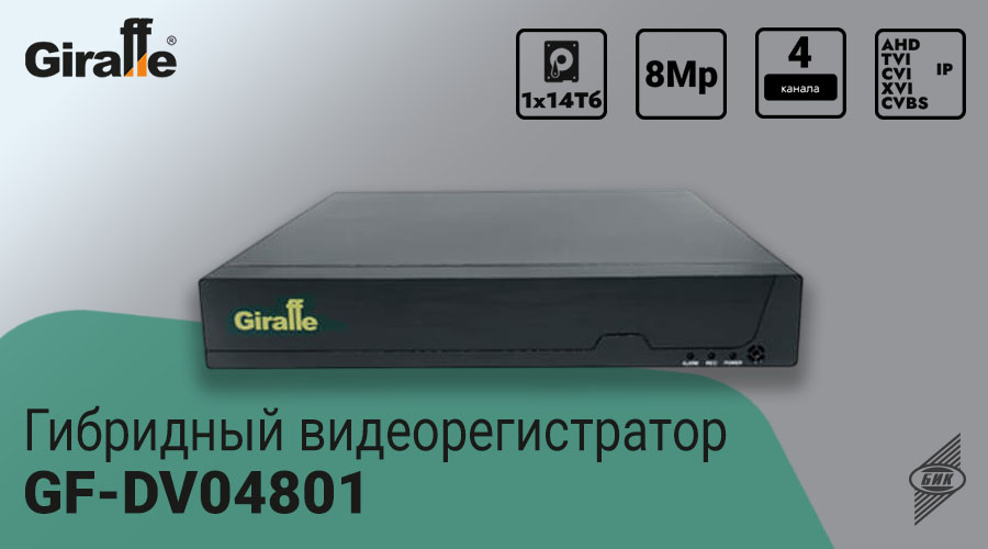 DV04801 - 900x500.jpg