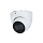 IP (цифровые)